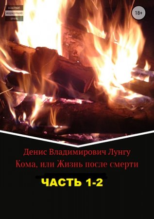 Постер к Кома или жизнь после смерти - Денис Лунгу